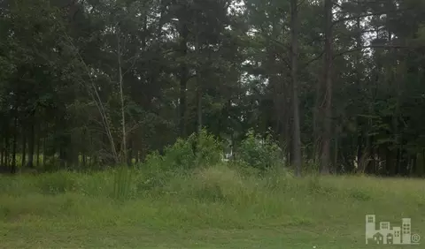 131 Red Fox Run Dr, Wallace, NC 28466 photo 1