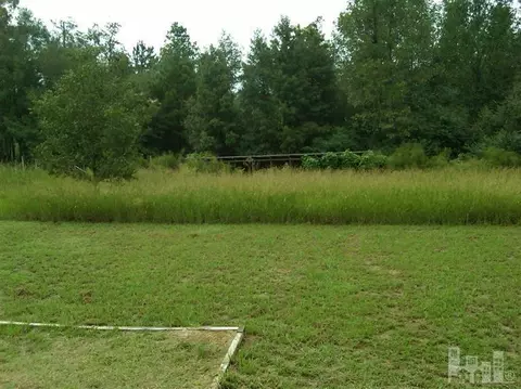 134 Four Leaf Clover Dr, Willard, NC 28478 photo 2