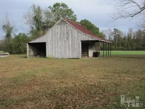 130 Garden Rd, Willard, NC 28478 photo 4