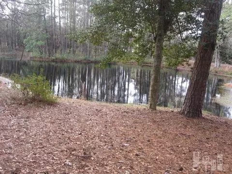 3929 Needmore Rd, Turkey, NC 28393 photo 4