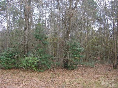 5979 Cornwallis Rd, Turkey, NC 28393 photo 4