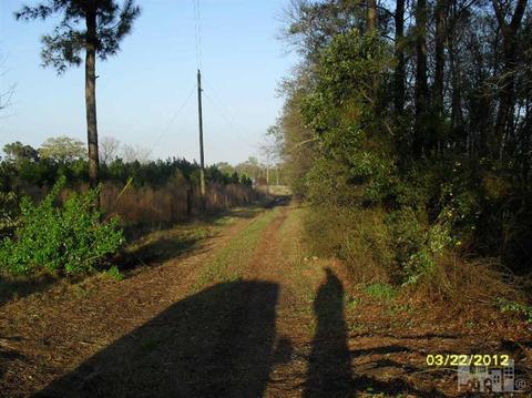 5120 Cornwallis Rd, Turkey, NC 28393 photo 3
