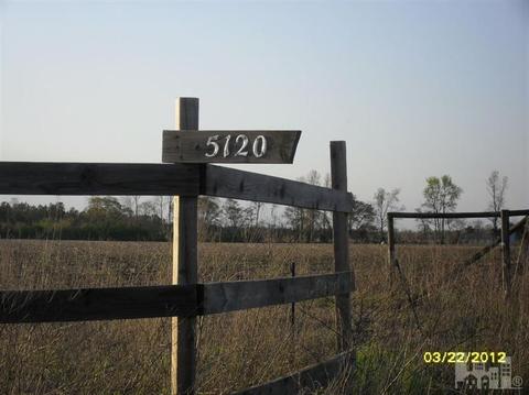 5120 Cornwallis Rd, Turkey, NC 28393 photo 2