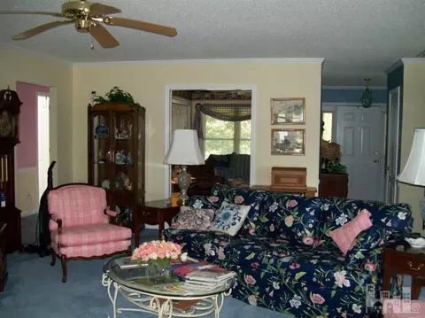 115 Widgeon Cir, Hampstead, NC 28443 photo 3