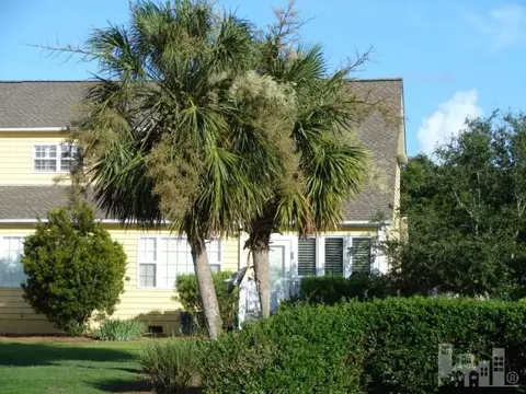 609 Sloop Pointe Ln, Kure Beach, NC 28449 photo 3