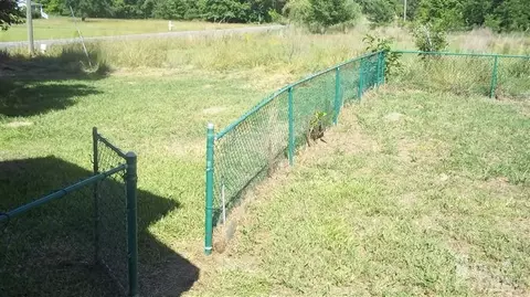 877 Jesse Moore Rd, Ivanhoe, NC 28447 photo 3