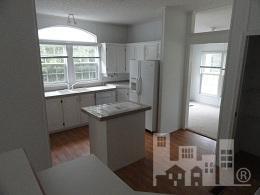 808 Jesse Moore Rd, Ivanhoe, NC 28447 photo 7