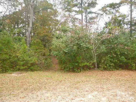 101 Live Oak Dr, Leland, NC 28451 photo 1