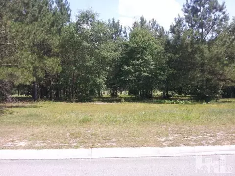 Undisclosed, Wallace, NC 28466 photo 1