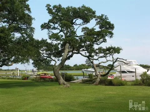 332 Olde Point Loop, Hampstead, NC 28443 photo 3