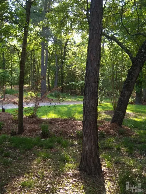 692 Raccoon Hollow Rd, Atkinson, NC 28421 photo 29