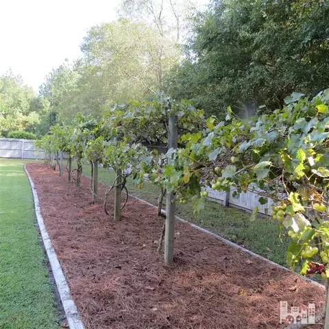 2811 Point Caswell Rd, Atkinson, NC 28421 photo 21