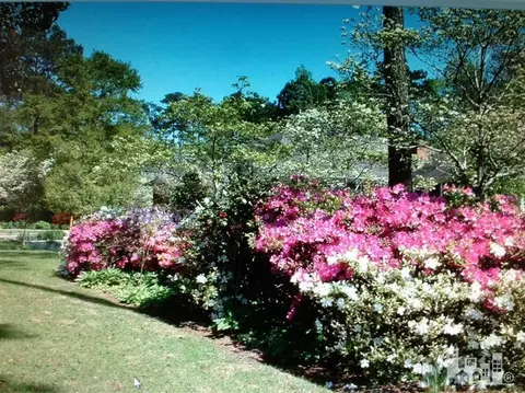 706 Sawgrass Rd, Hampstead, NC 28443 photo 29