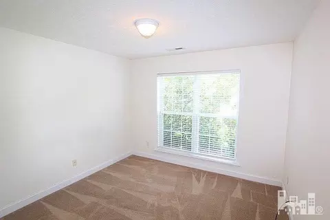 100 Bristle Cone Ct, Hampstead, NC 28443 photo 9