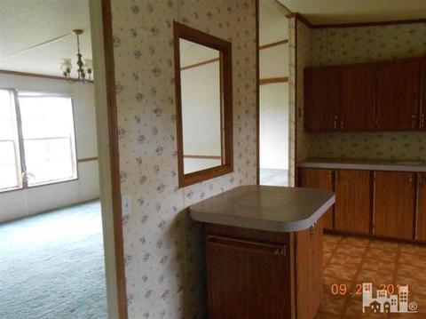 250 Tate Rd, Willard, NC 28478 photo 16