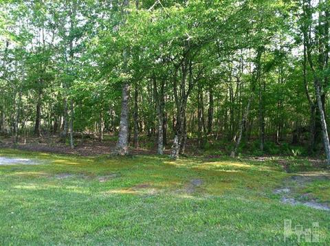 125 Liberty Rd, Willard, NC 28478 photo 15