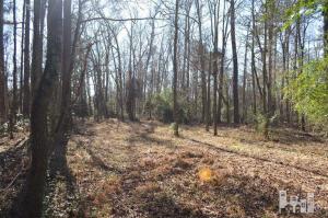 881 Beattys Bridge Rd, Atkinson, NC 28421 photo 22