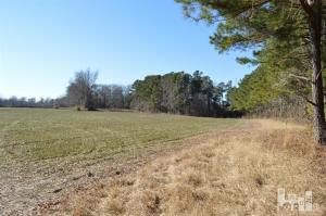 881 Beattys Bridge Rd, Atkinson, NC 28421 photo 12