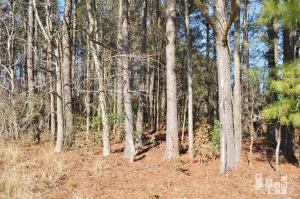 881 Beattys Bridge Rd, Atkinson, NC 28421 photo 24