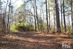 881 Beattys Bridge Rd, Atkinson, NC 28421 photo 23
