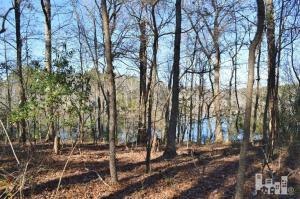881 Beattys Bridge Rd, Atkinson, NC 28421 photo 6