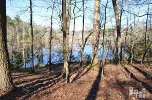 881 Beattys Bridge Rd, Atkinson, NC 28421 photo 1