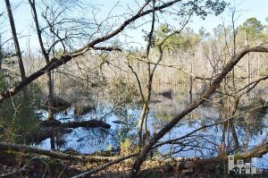 881 Beattys Bridge Rd, Atkinson, NC 28421 photo 18
