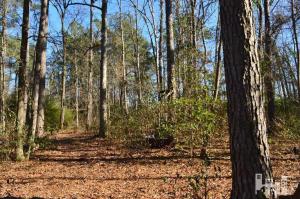 881 Beattys Bridge Rd, Atkinson, NC 28421 photo 20