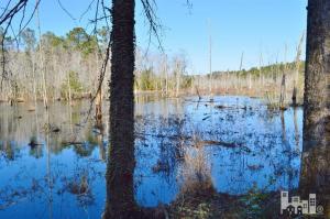 881 Beattys Bridge Rd, Atkinson, NC 28421 photo 7
