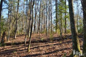 881 Beattys Bridge Rd, Atkinson, NC 28421 photo 15