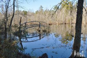 881 Beattys Bridge Rd, Atkinson, NC 28421 photo 19