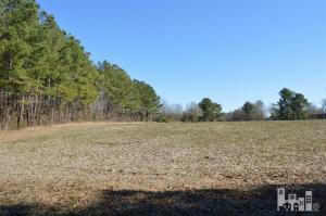 881 Beattys Bridge Rd, Atkinson, NC 28421 photo 13