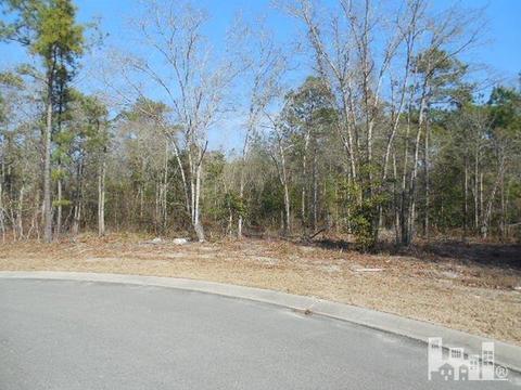 150 Cherry Laurel Dr, Wallace, NC 28466 photo 1