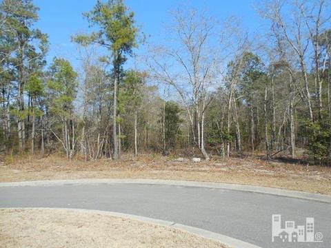 150 Cherry Laurel Dr, Wallace, NC 28466 photo 2