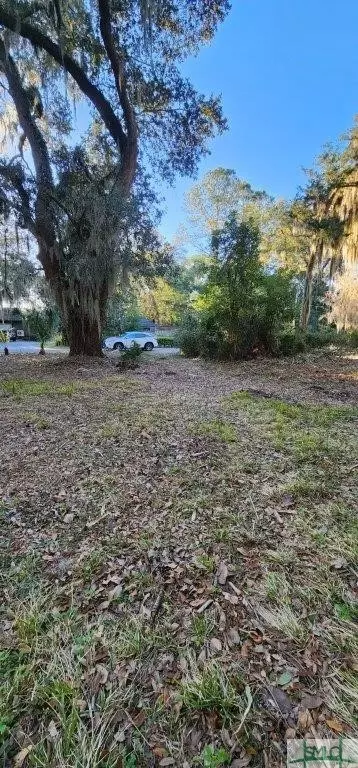 294 Mcalpin St, Savannah, GA 31406