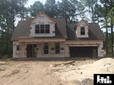 61 Mangrove Ct, Hampstead, NC 28443 photo 1