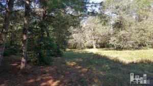 360 River Ridge Dr, Wallace, NC 28466 photo 6