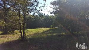 360 River Ridge Dr, Wallace, NC 28466 photo 7