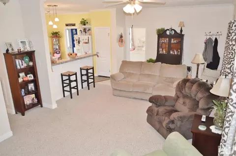 178 Macon Smith Dr, Willard, NC 28478 photo 8