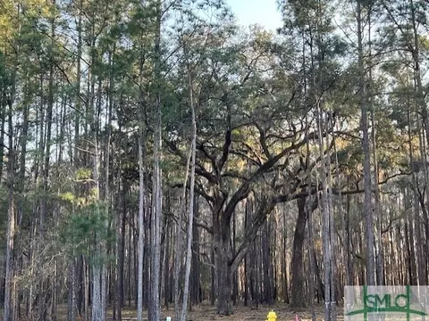 165 Wood Haven Ln, Pooler, GA 31322