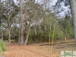 lot S 18 19 Island Dr, Midway, GA 31320
