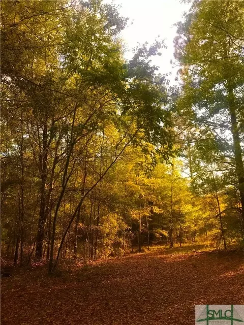 1560 Homestead Dr, Ellabell, GA 31308
