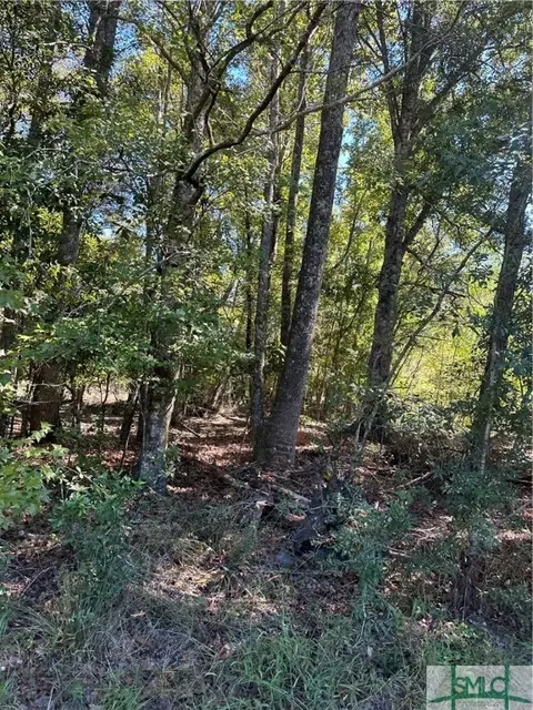 1717 Shawnee Egypt Rd, Springfield, GA 31329