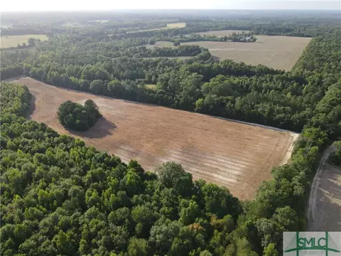 0 Stoney Pond Rd, Sylvania, GA 30467