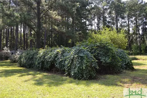 101 Bark Dr, Springfield, GA 31329 photo 21