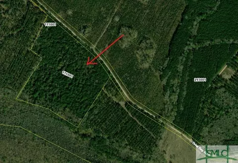 25 46 Acres Briar Bay Rd, Riceboro, GA 31323