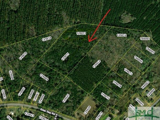 11 97 Acres Briar Bay Rd, Riceboro, GA 31323