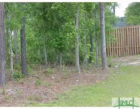 427 Shadowbrook Cir, Springfield, GA 31329 photo 4