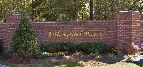 218 Conifer Dr, Hampstead, NC 28443 photo 2