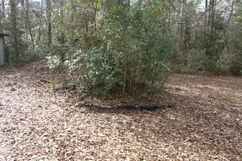 57 Burning Tree Dr, Hampstead, NC 28443 photo 6